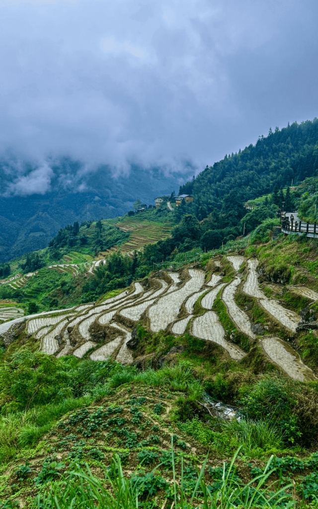 Guilin Travel Itinerary - Longji Terraces