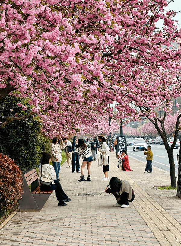 Spring in China: 17 Enchanting Places You Simply Have to See in 2025