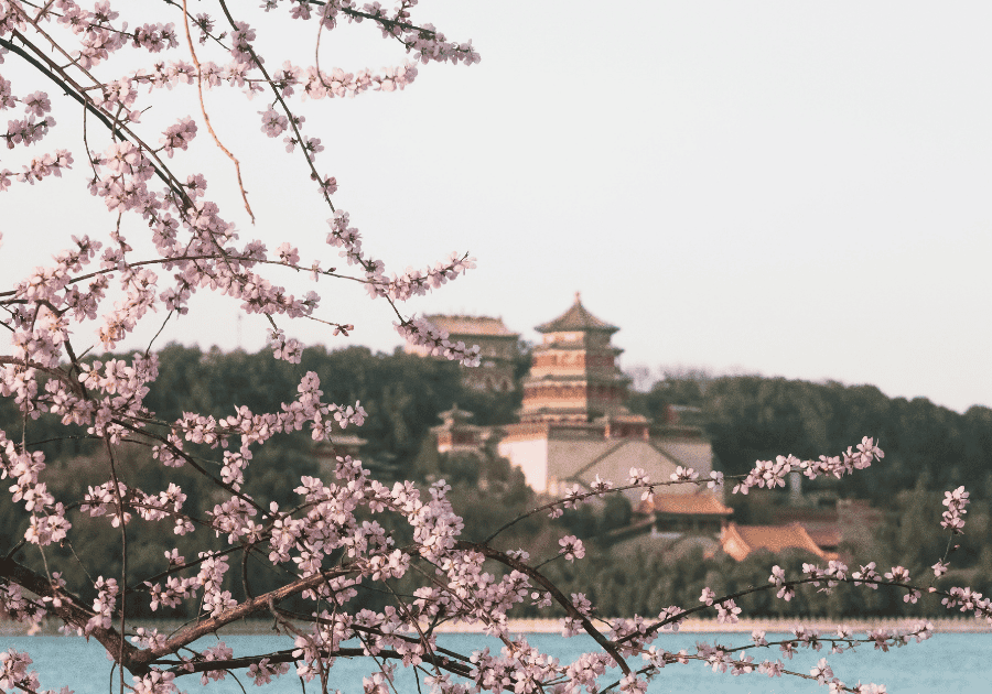 Spring in China brings warmer temperatures and blooming flowers. You can pack lighter layers.
