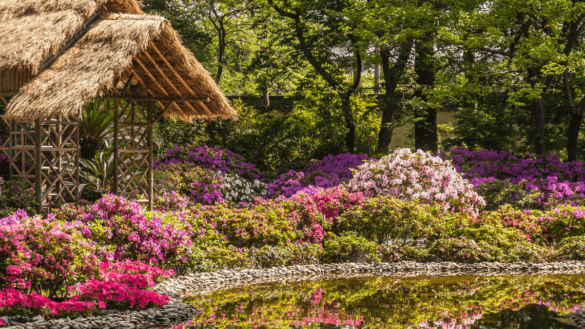 Chinese Spring Feature Spring in China: 18 Prettiest Locations You Absolutely Can't Miss in 2026