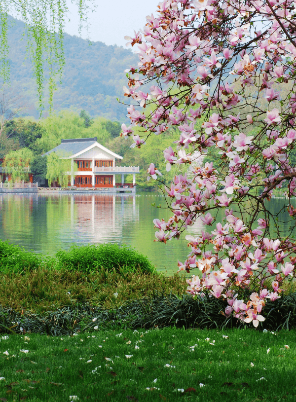 The Ideal Hangzhou Itinerary: Discover West Lake City in 48 Hours