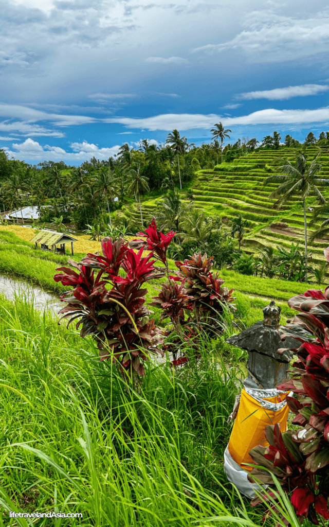 Bali in december