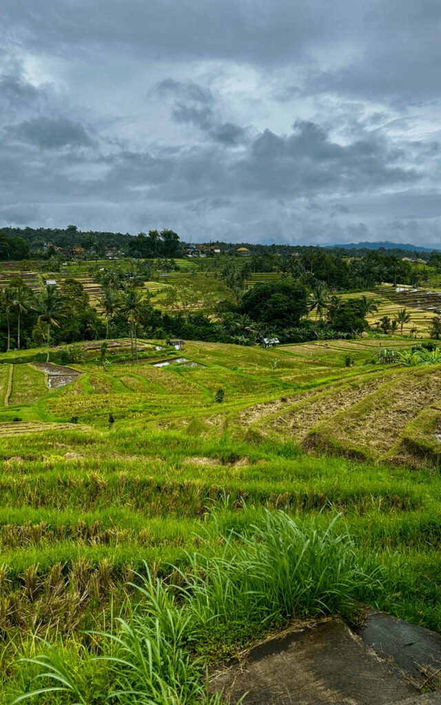 what to pack for bali rainy season
