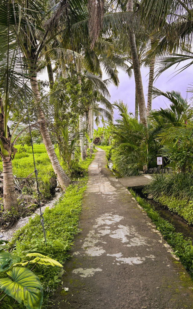 Kajeng Rice Fields, Ubud Center