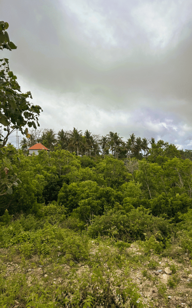 Nature in Nusa Penida