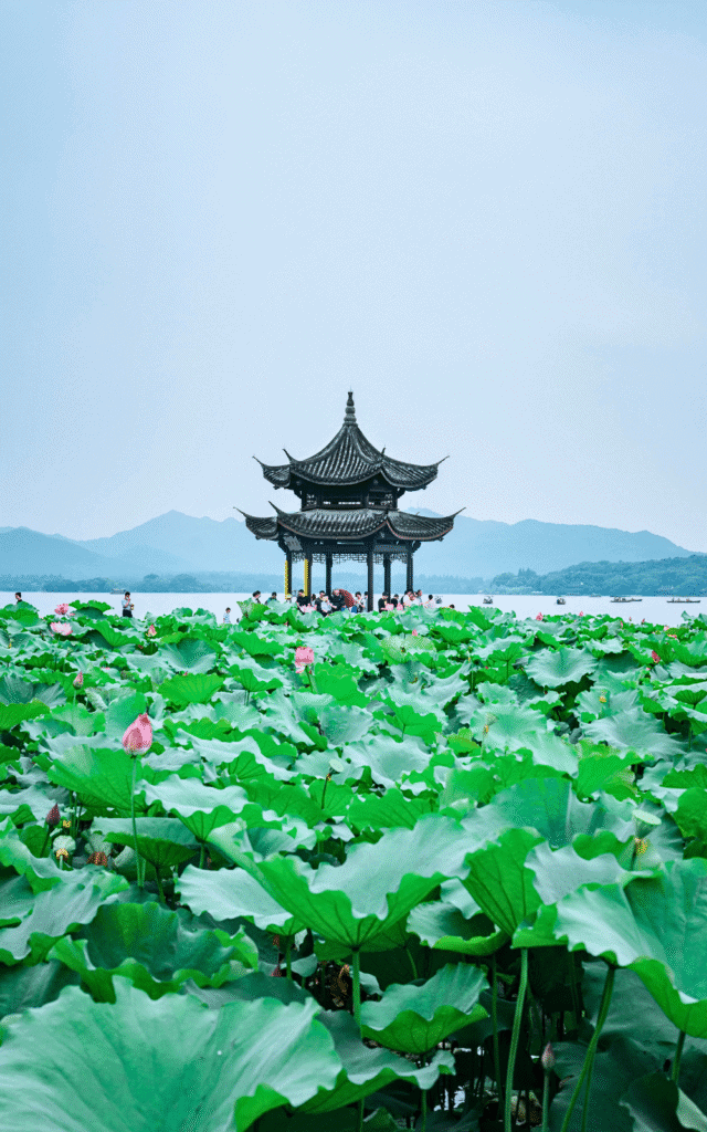Pavillion on the West Lake