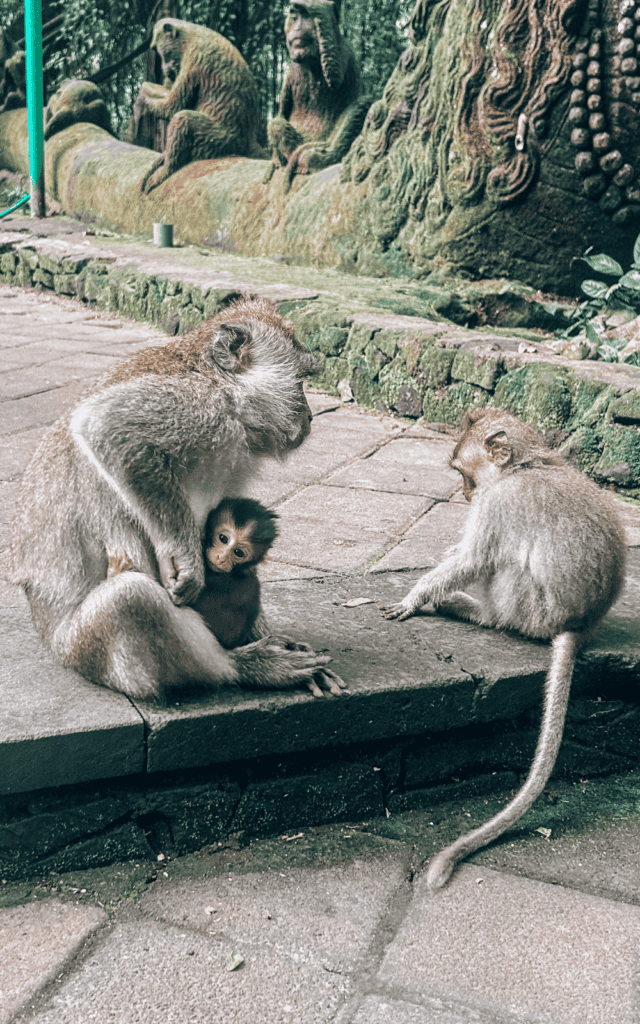 how to spend 3 days in Ubud