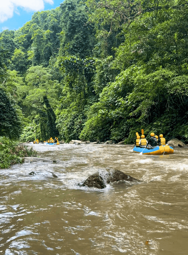 Is Whitewater rafting in Ubud Worth It? Honest Review & Guide