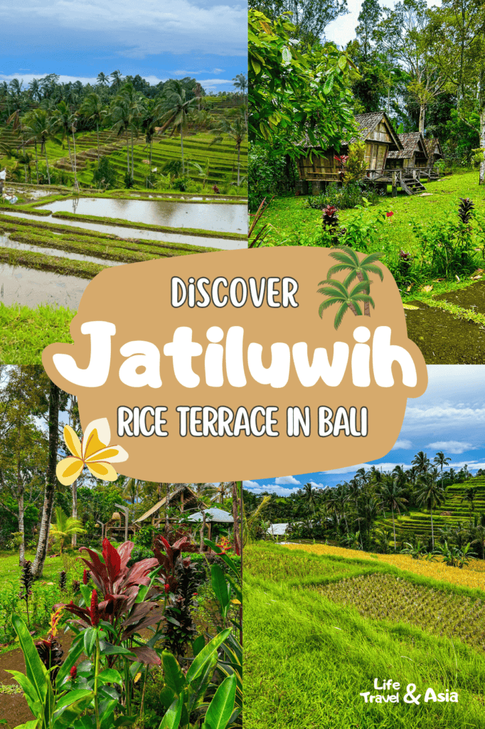 Jatiluwih Rice Terraces: Plan your trip with this ultimate guide