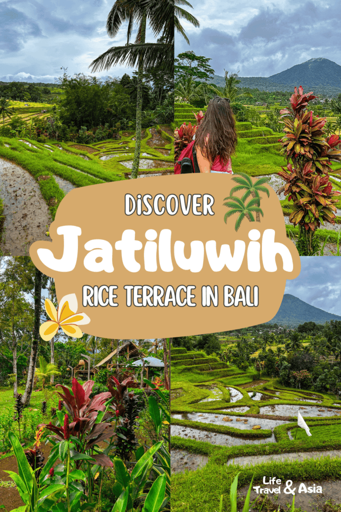 Jatiluwih Rice Terraces: the best rice fields in Central Bali