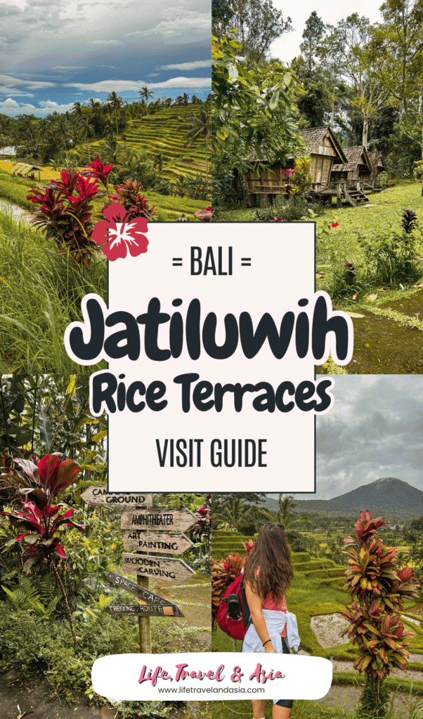 Jatiluwih Rice Terraces: Discover the natural beauty of this rice fields in Central Bali. Discover how to best plan your visit.