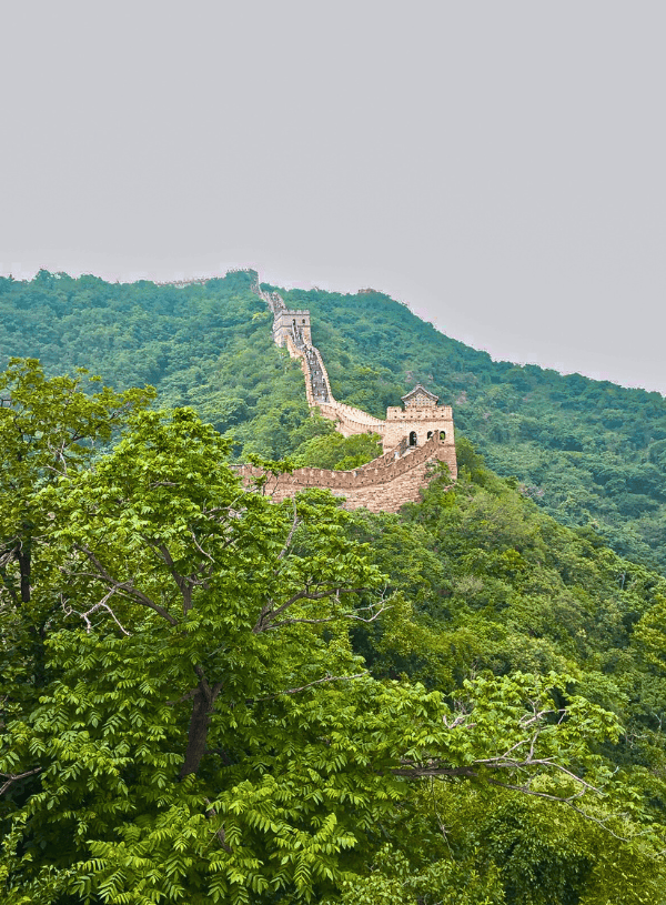 Plan Your Trip to The Great Wall: Everything You Need to Know