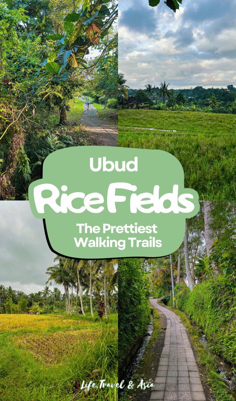 Ubud Rice Field Walks: Guide To the 5 Best Trails In 2026