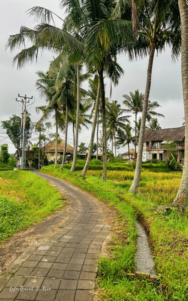 Sari Organic walk in ubud