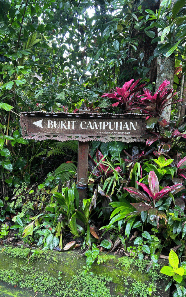 start of the campuhan ridge walk in ubud