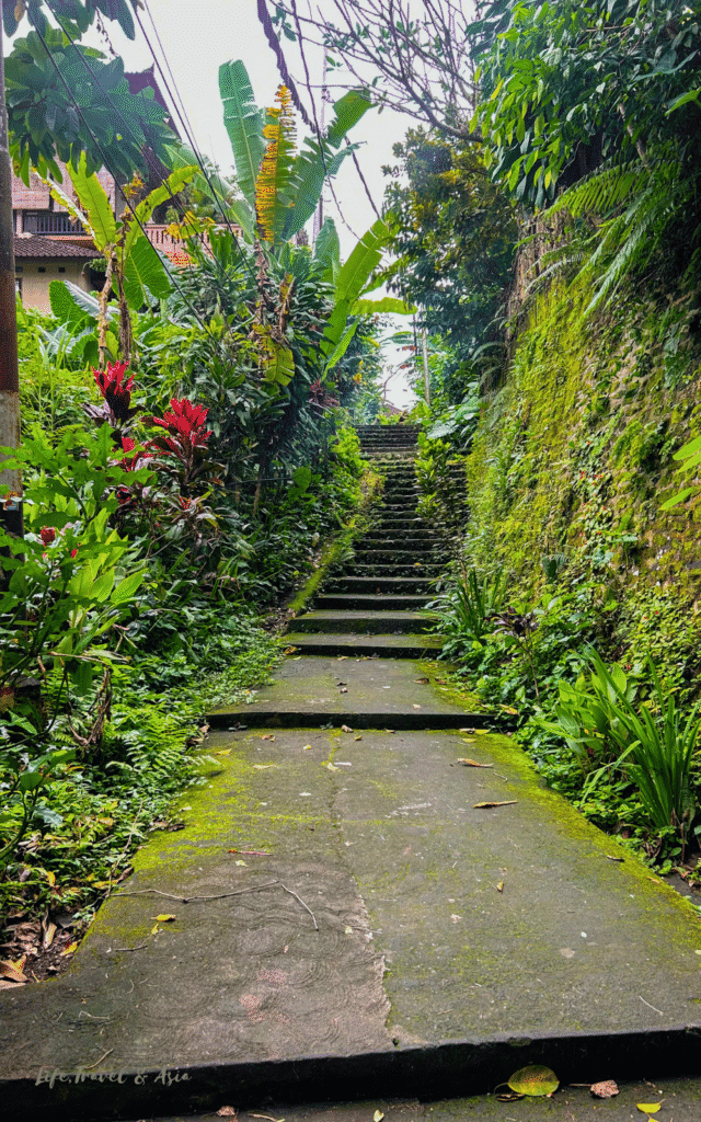 Penestanan Stairs in Ubud