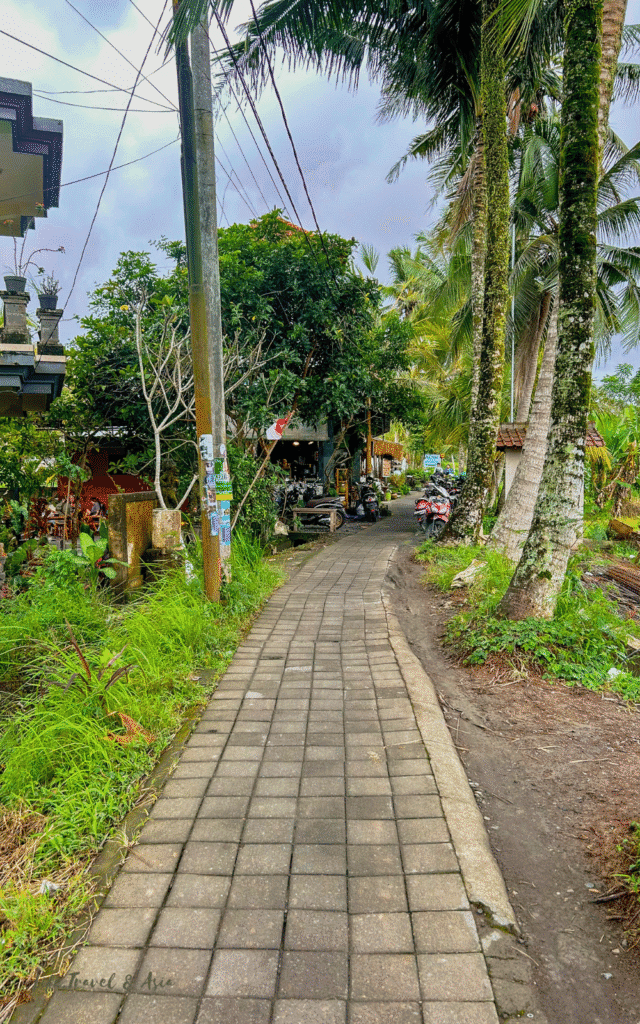 Sari Organic Walk in Ubud