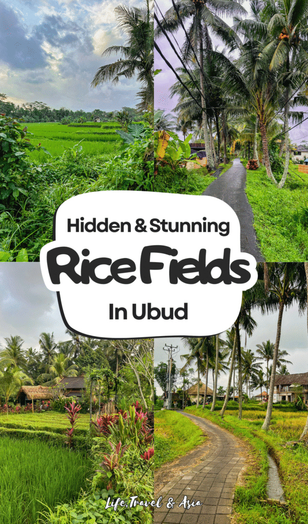 The best Ubud rice field walks: guide to the prettiest trails in town to enjoy the views without tourists