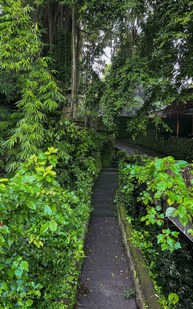 start of the campuhan ridge walk