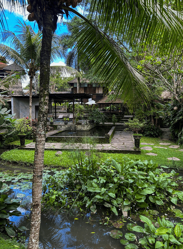 Best Affordable Spa in Ubud: Relaxing Treatments at Sari Health Resort