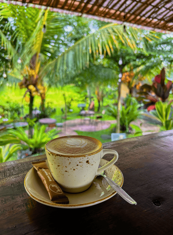 8 Best Cafes With Rice Terrace Views in Ubud: Get Inspired Over a Cappuccino