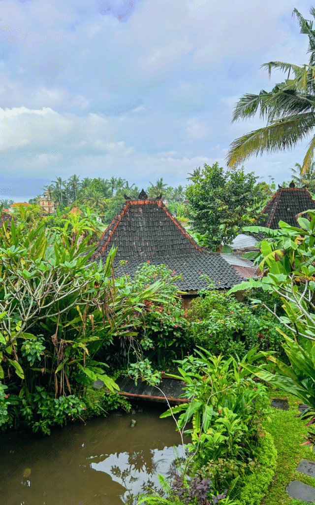 View from the Terrace at Dragonfly cafe
