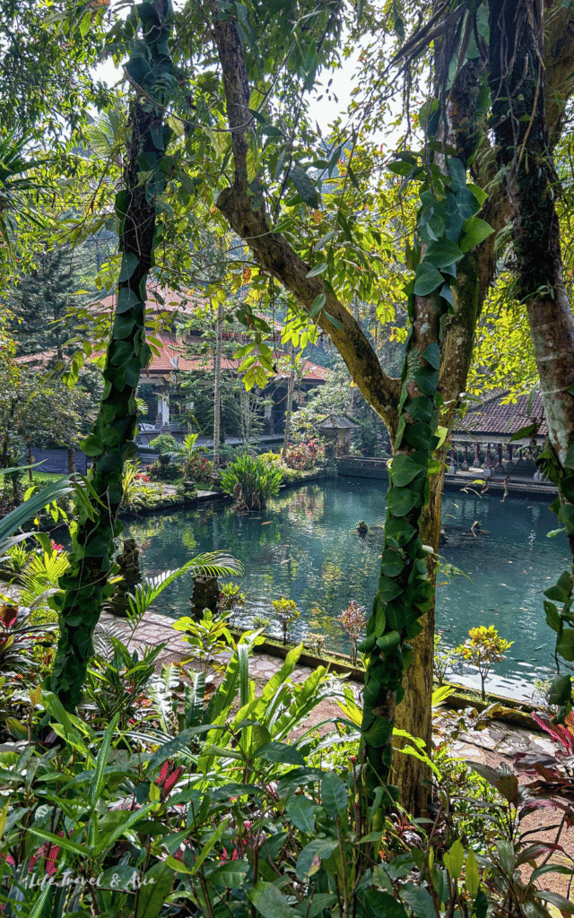 Koi fish pond at the entrance of Gunung Kawi Sebatu temple near Ubud