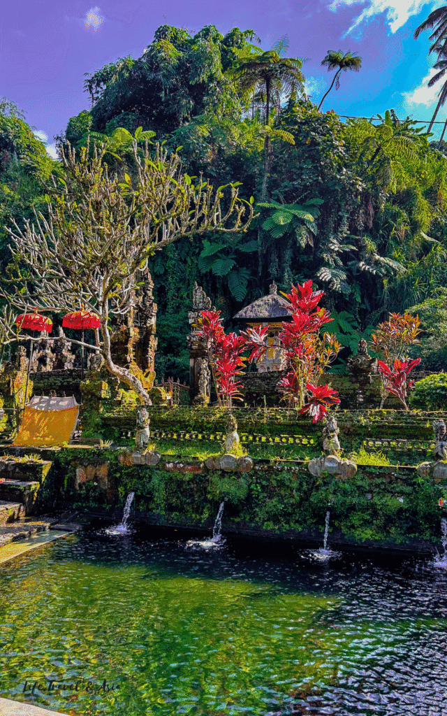 Pool where balinese purification ceremony is performed at Gunung Kawi sebatu temple