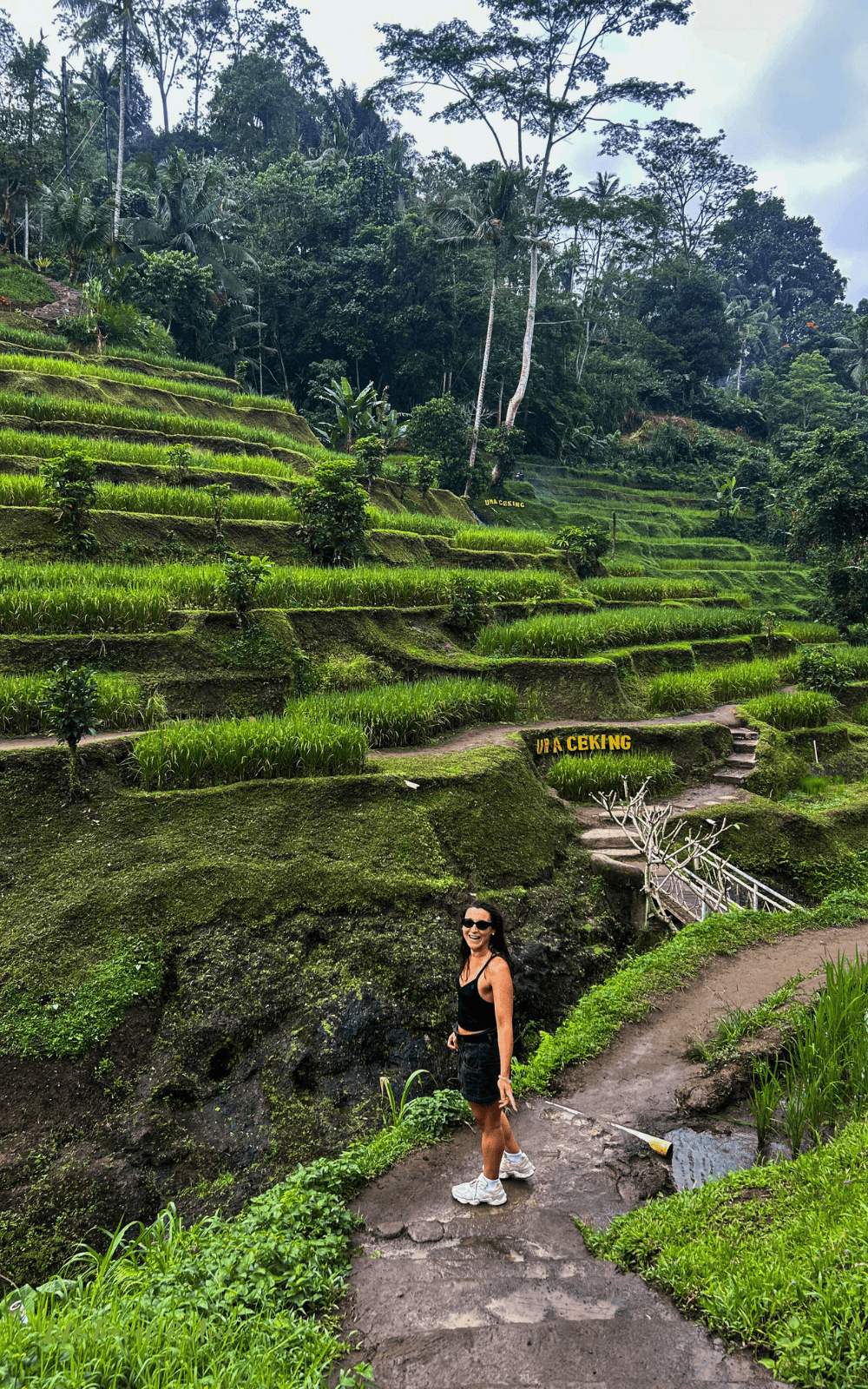 Tanggalang Rice Tegallalang Rice Terraces in 2026: Worth the Hype or Tourist Trap?