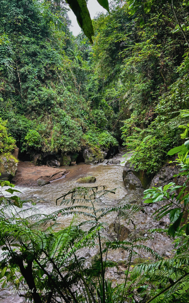 Goa Rang reng waterfall