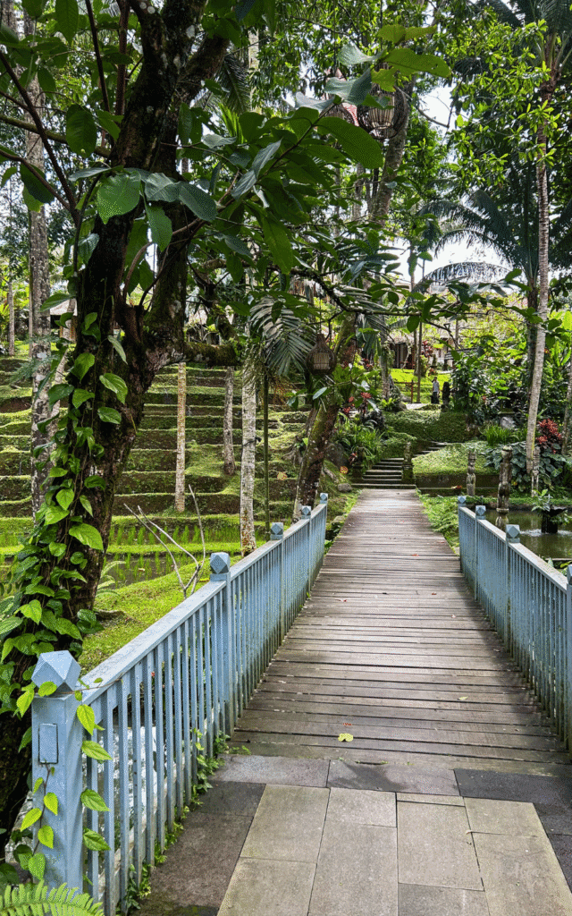 Best affordable spa in Ubud: Ubud Sari Health resort