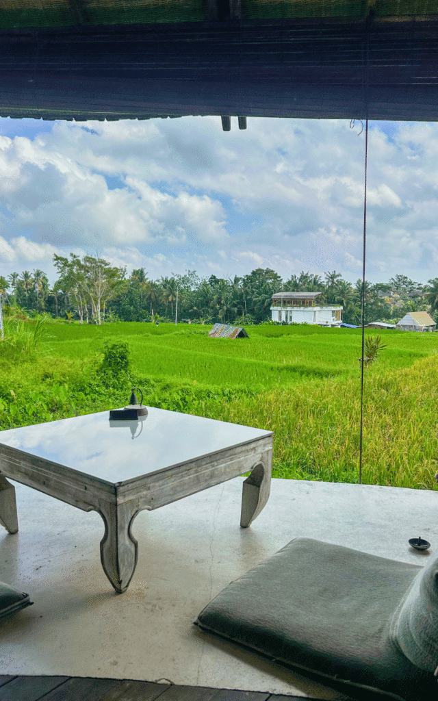 View from Pomegranate Cafe