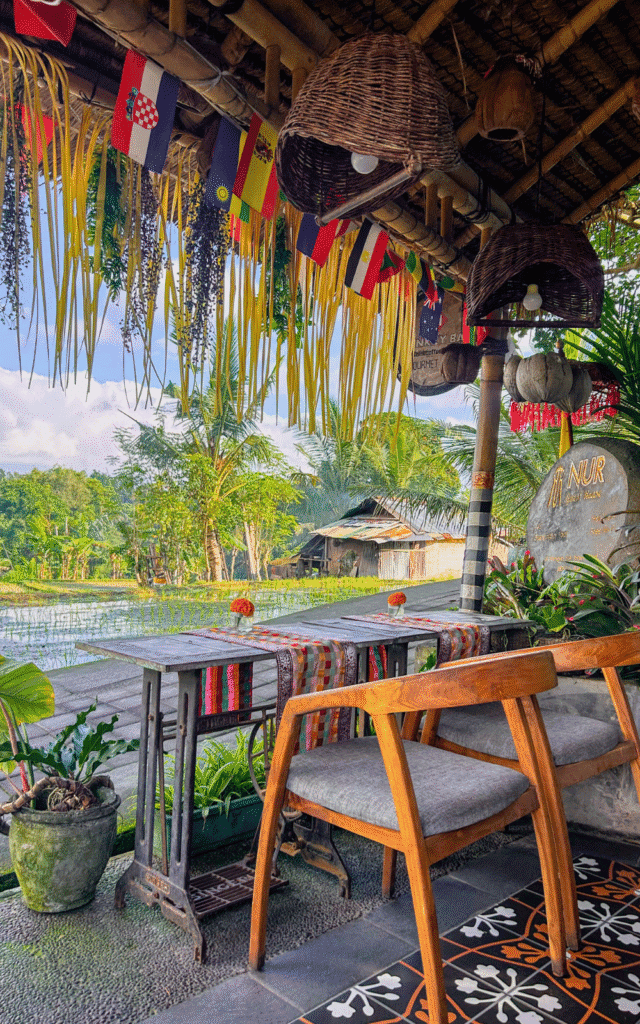 Rice Field View from Monkey Bar