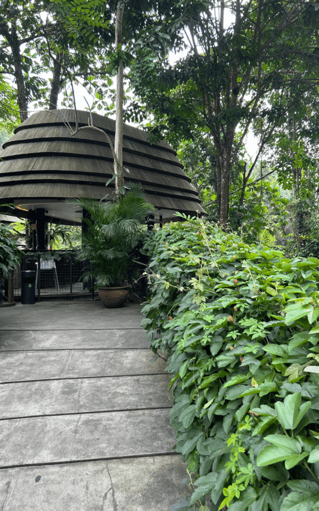 WYAH Art and creative space in Ubud has one of the best views over the jungle.