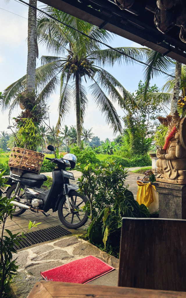 View from Sweet Orange Warung