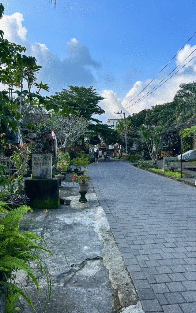 Jl Bisma is one of the places Where to stay in Ubud
