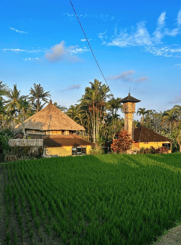 Where To Stay in Ubud: 5 Best Areas, Hotels & Guest Houses