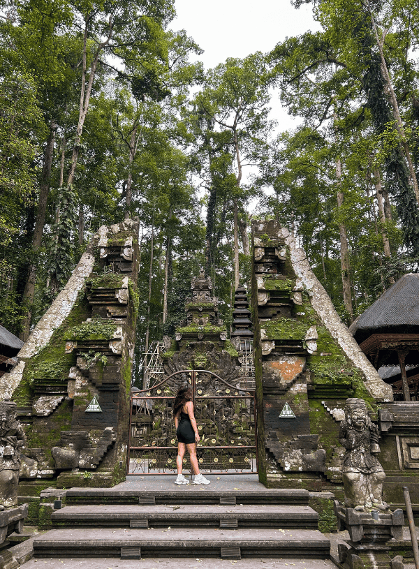 Sangeh Monkey Forest vs Ubud Monkey Forest: Which One’s Best for You?
