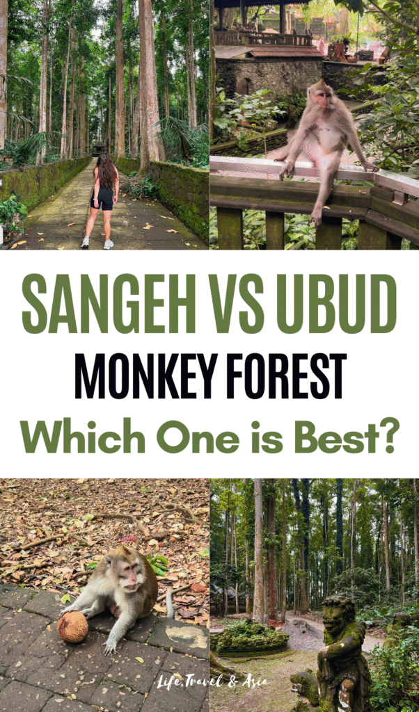 Sangeh Monkey Forest VS Ubud Monkey Forest: Which one should you visit?