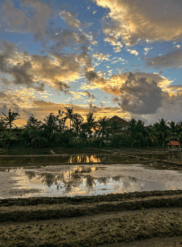 Things to Do in Ubud When It Rains: 13 Fun Indoor Activities
