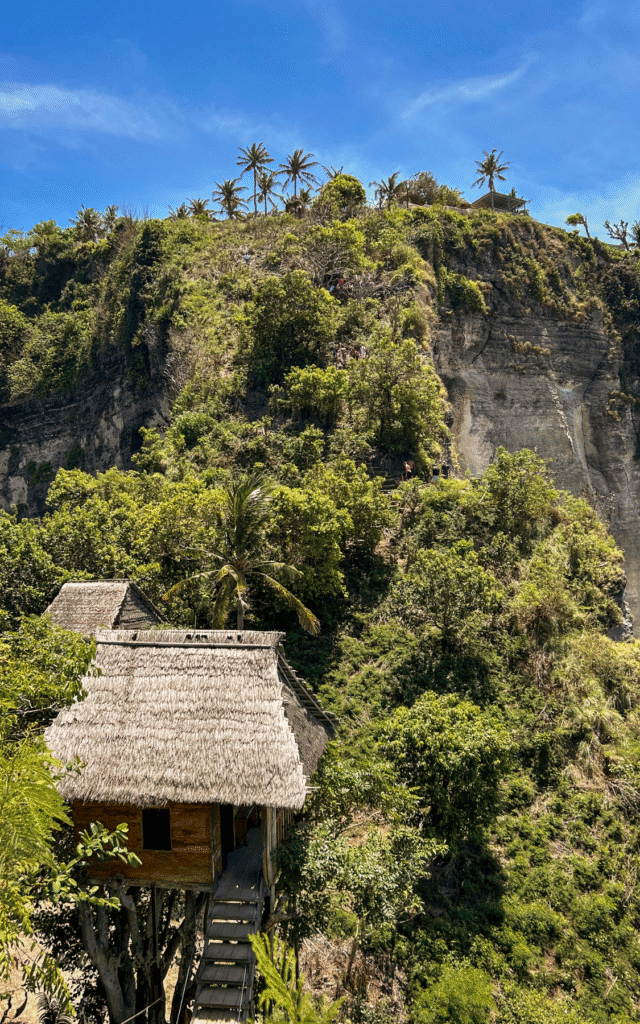 Rumah Pohon Tree House