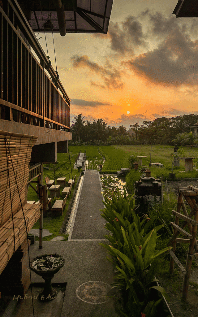 Sunset on Jl. Bisma Rice Fields