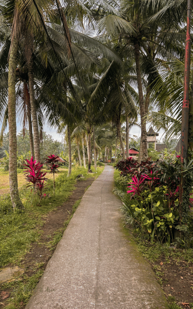 Sweet orange trail