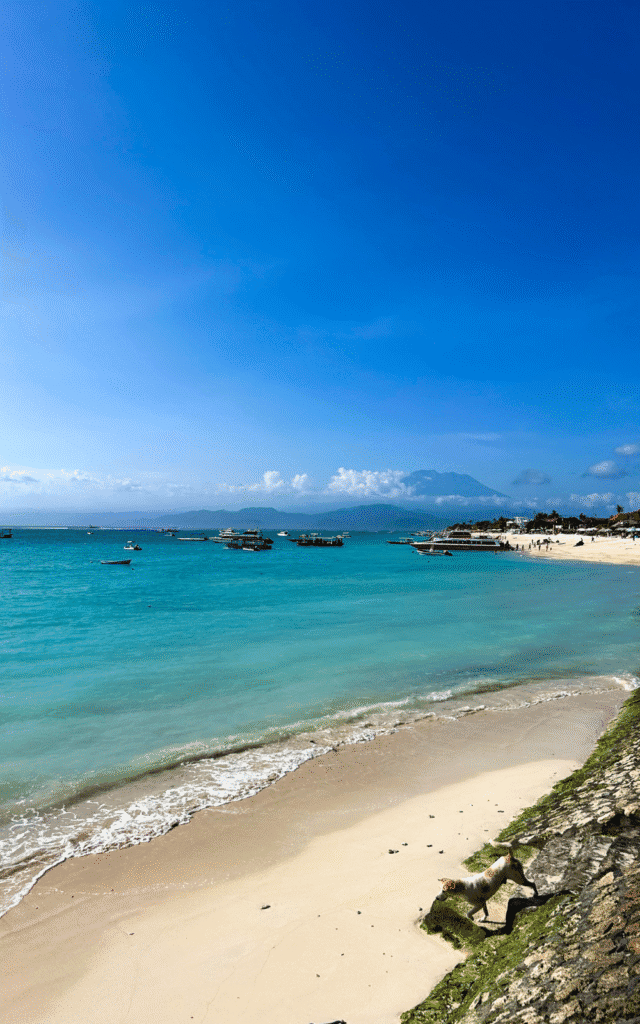 Jungutbatu Beach is the best beach to land on during a day trip, especially if you don't rent a scooter.