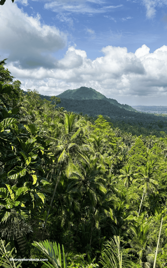 View from Gembleng Waterfall, Sidemen