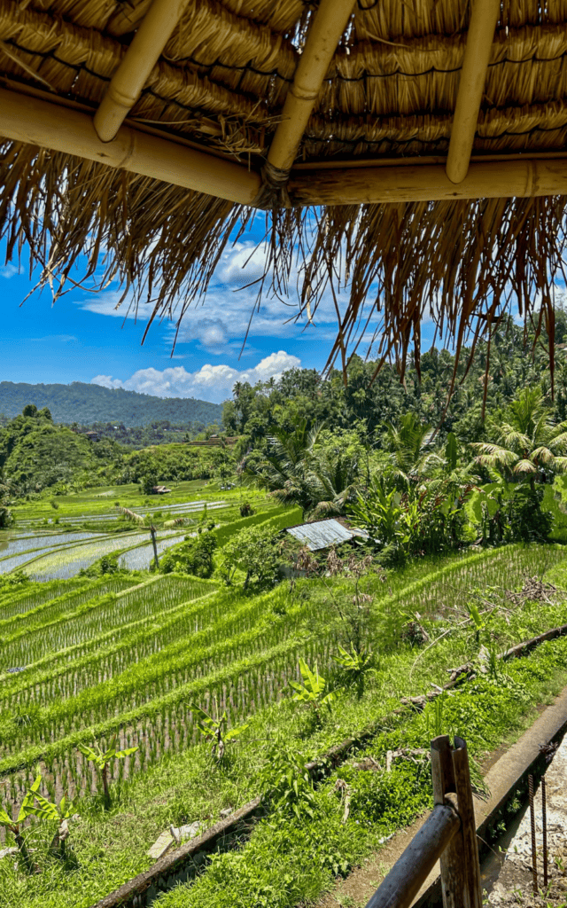 Hiking through the Sidemen rice fields is one of the best things to do in Sidemen.