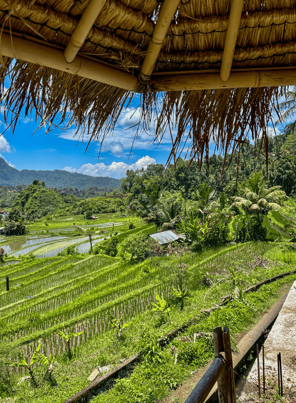 14 Best Things to Do in Sidemen & East Bali in 2026