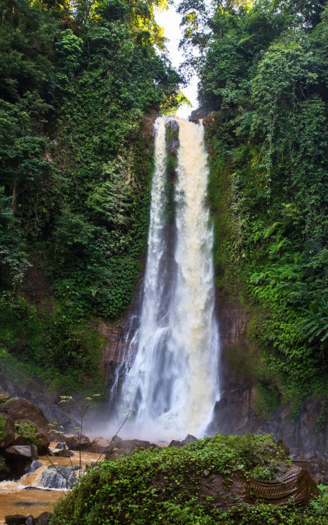 Git git waterfall in Bali