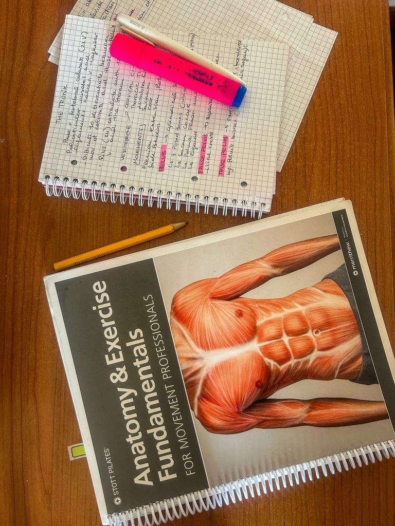 Anatomy study tips for pilates instructures
