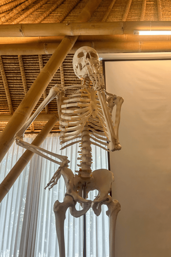 STOTT Pilates teacher training anatomy course